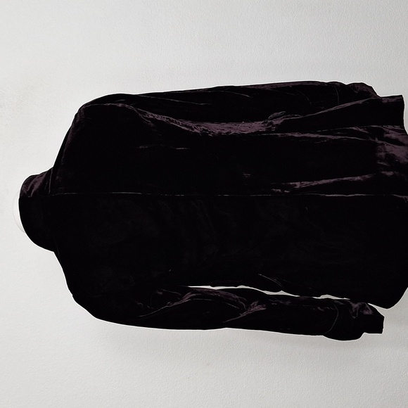 Amaryllis Dark Purple Velvet Romantic Whimsigoth Single Lapel Blazer Jacket XS - Picture 8 of 16